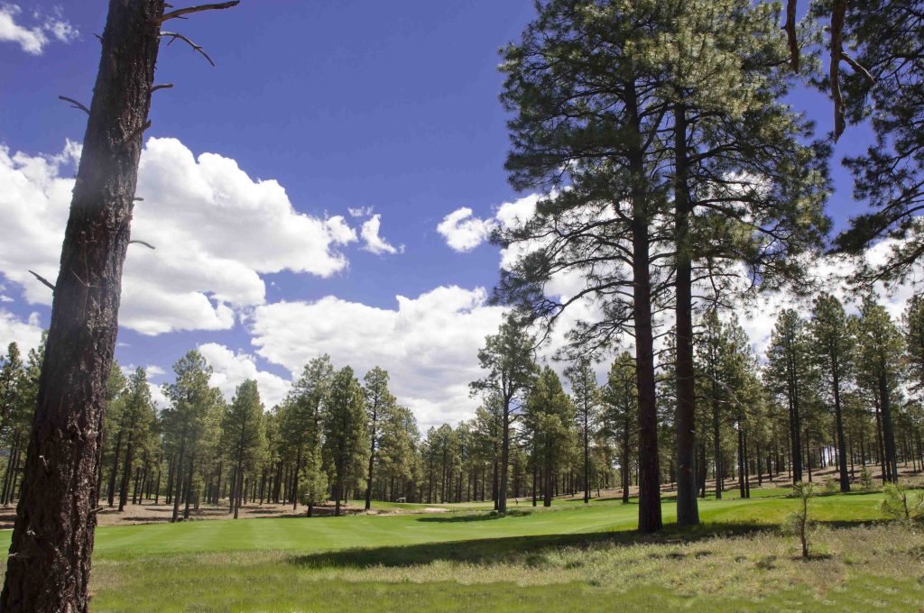 Aspen Ridge Villas View 2